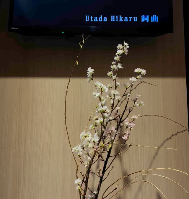 早咲の桜景翁桜