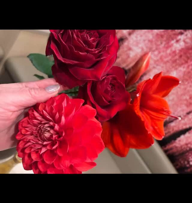 アマリリス.ダリア.薔薇紅色花陽色トロンと甘い匂艶な蜂蜜酒秩